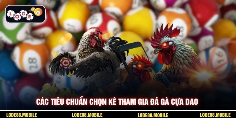 Các tiêu chuẩn chọn kê tham gia đá gà cựa dao