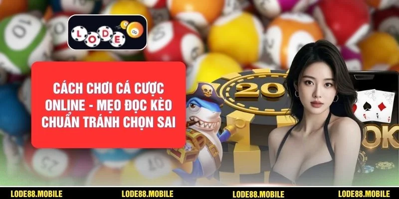 Cách Chơi Cá Cược Online