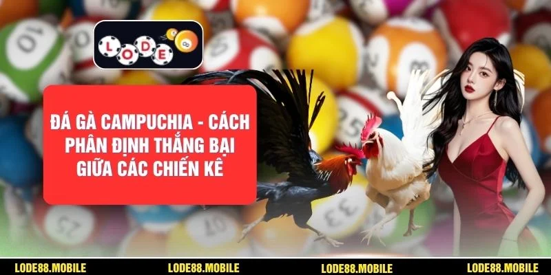 Đá Gà Campuchia