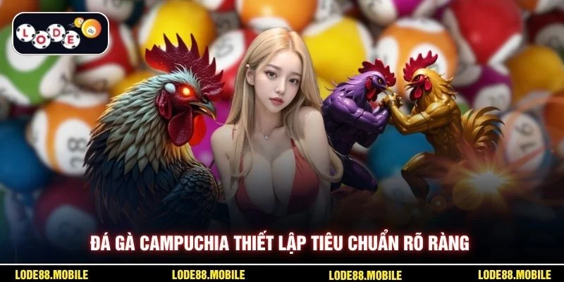 Đá gà Campuchia thiết lập tiêu chuẩn rõ ràng