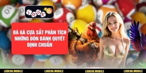 Đá Gà Cựa Sắt