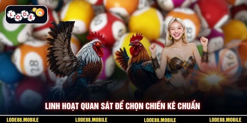 Linh hoạt quan sát để chọn chiến kê chuẩn