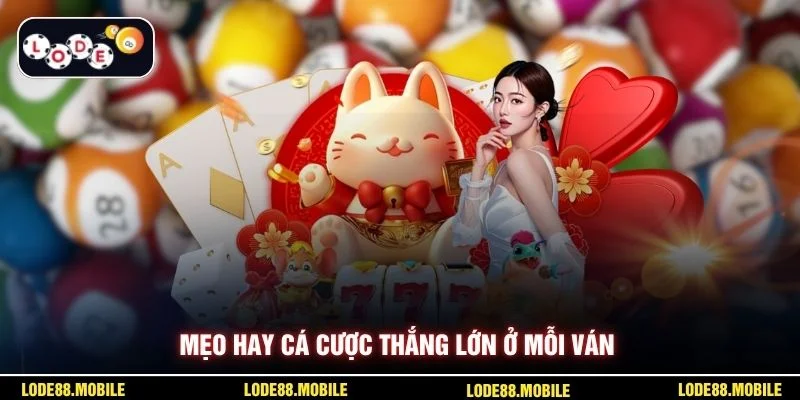 Mẹo hay cá cược thắng lớn ở mỗi ván