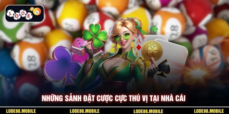 Những sảnh đặt cược cực thú vị tại nhà cái