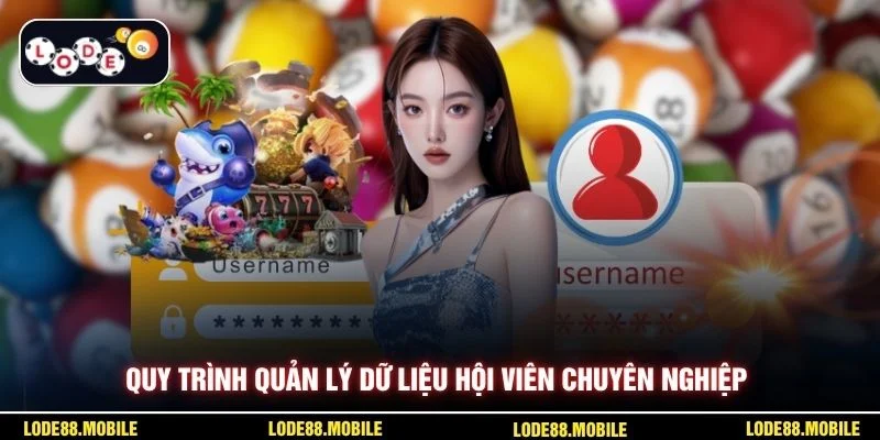 Quy trình quản lý dữ liệu hội viên chuyên nghiệp