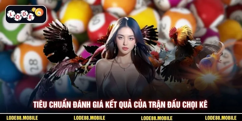 Tiêu chuẩn đánh giá kết quả của trận đấu chọi kê