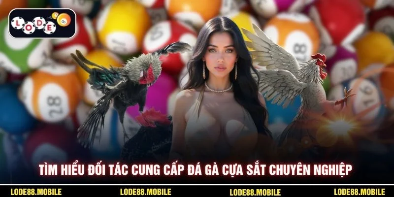 Tìm hiểu đối tác cung cấp đá gà cựa sắt chuyên nghiệp