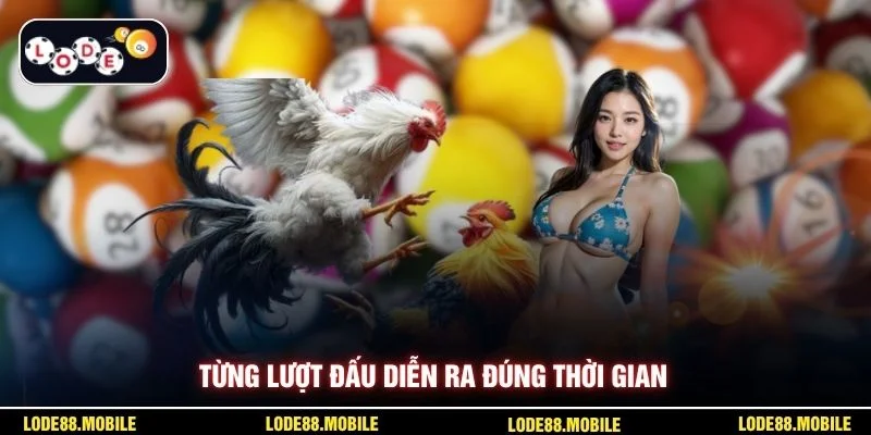 Từng lượt đấu diễn ra đúng thời gian